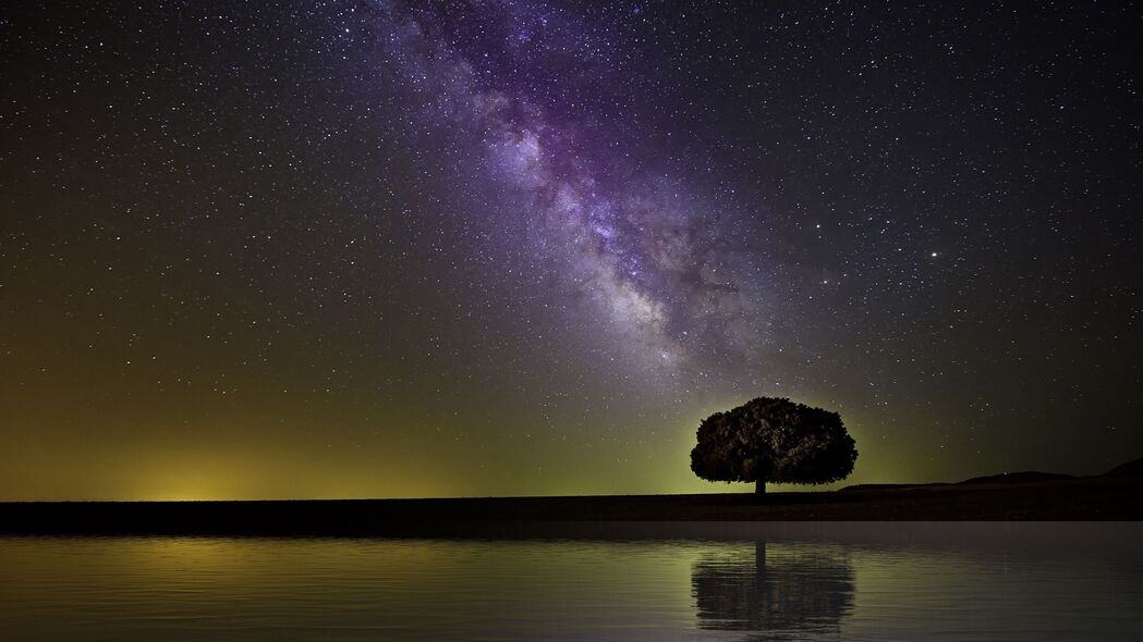 星空 银河 树 地平线 海岸 夜间 4k壁纸 3840x2160