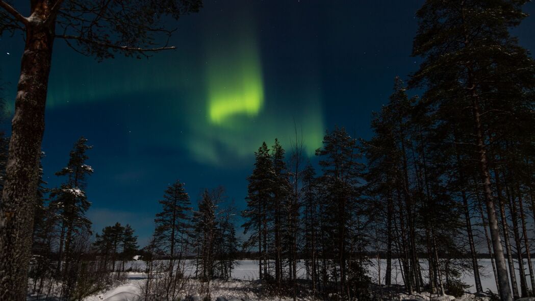 北极光 极光 冬天 森林 夜晚 树木 天空 4k壁纸 3840x2160