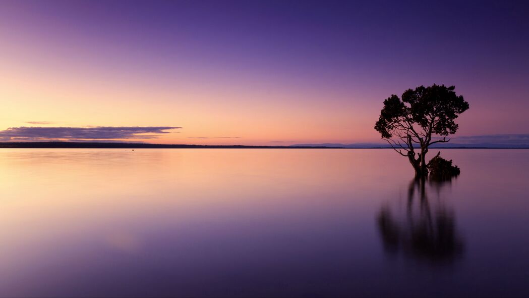 日落 树 湖 天空 水 晚上 紫色 4k壁纸 3840x2160