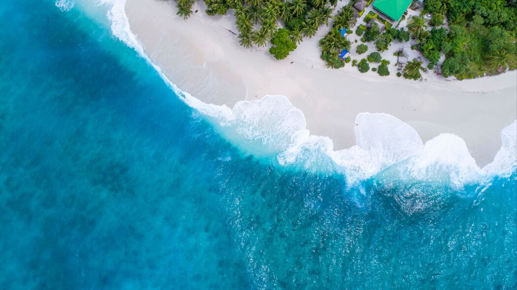 海洋 鸟瞰图 棕榈树 热带 马尔代夫 4k壁纸 3840x2160