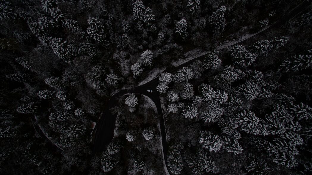 棵树 森林 俯视图 白雪覆盖 瑞士 4k壁纸 3840x2160