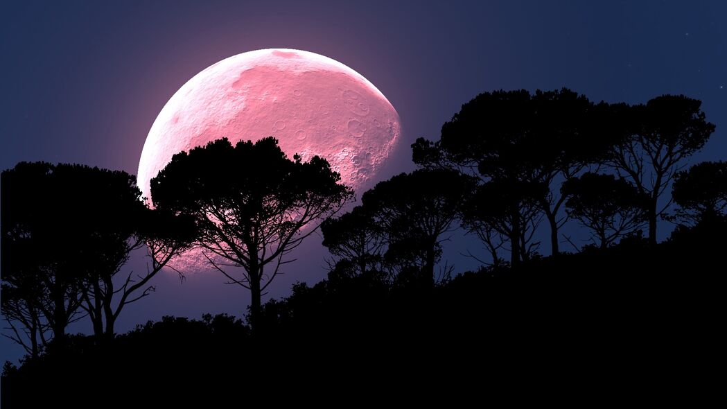 3840x2160 月亮 树 photoshop 夜晚 满月 行星壁纸 背景