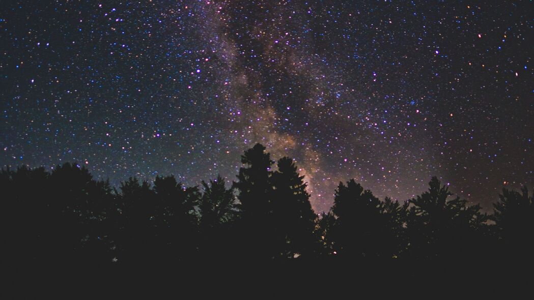 星空 银河 树木 星星 夜晚 闪耀 深色 4k壁纸 3840x2160