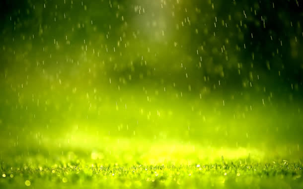 水滴雨滴唯美绿色