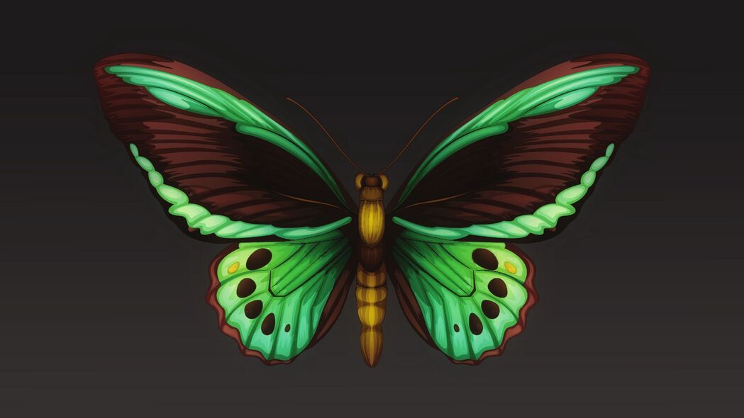 蝴蝶 图案 翅膀 昆虫 4k壁纸 3840x2160
