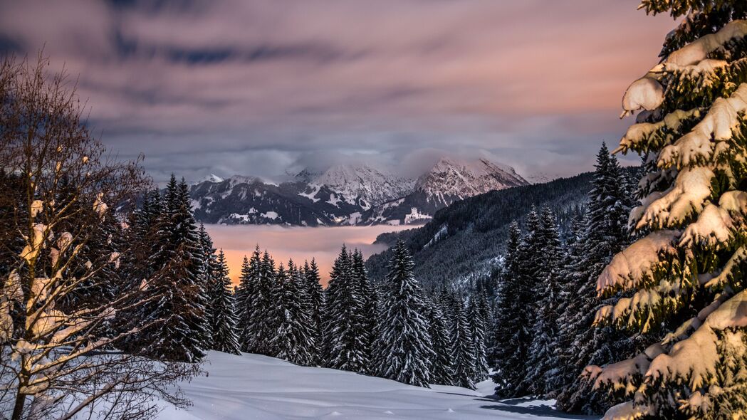 冬天 山 雪 树 巴伐利亚 德国 4k壁纸 3840x2160