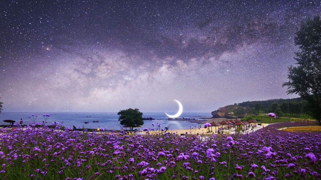 月亮 星空 photoshop 海滩 银河 花朵 4k壁纸 3840x2160