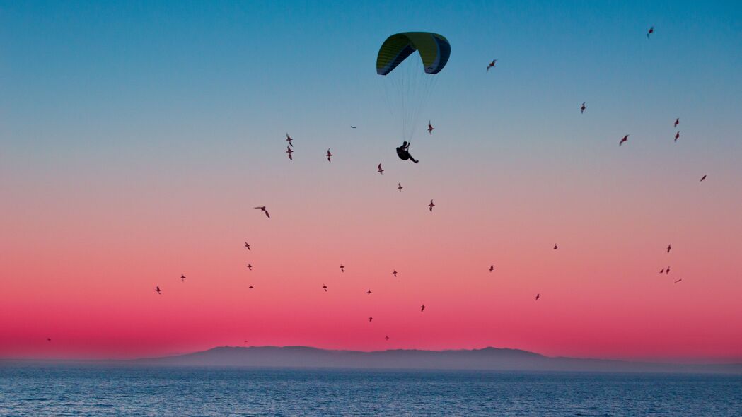 滑翔伞 降落伞 大海 飞行 鸟类 地平线 4k壁纸 3840x2160