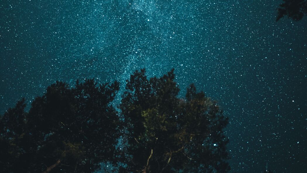 星空 树木 从下方观看 夜晚 树枝 4k壁纸 3840x2160