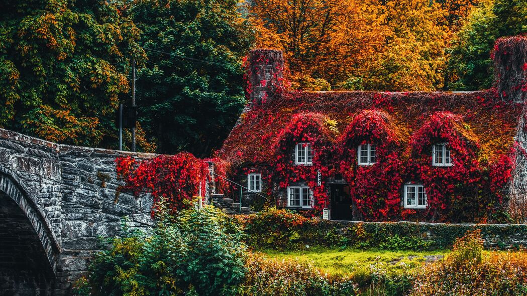 房子 秋天 河流 树叶 秋天的颜色 4k壁纸 3840x2160