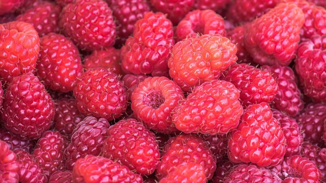 树莓 浆果 夏天 成熟 维生素 4k壁纸 3840x2160