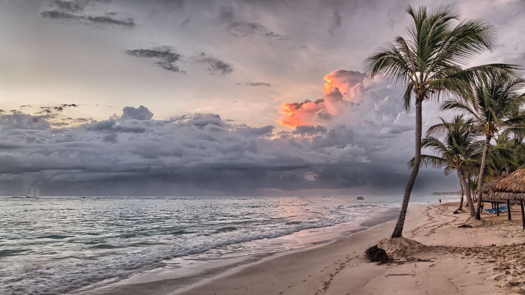 棕榈树 海滩 沙滩 热带 多米尼加共和国 4k壁纸 3840x2160