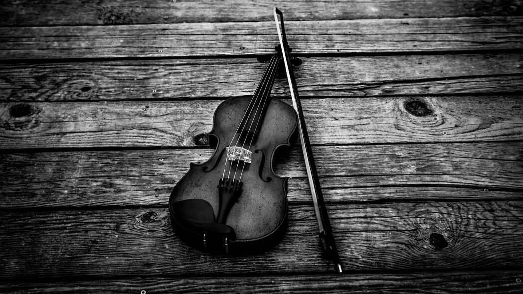 小提琴 bw 小提琴弓 乐器 4k壁纸 3840x2160