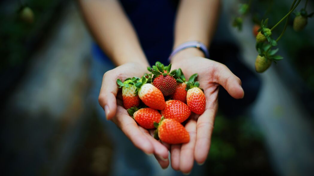 草莓 手 浆果 成熟 多汁 夏季 4k壁纸 3840x2160