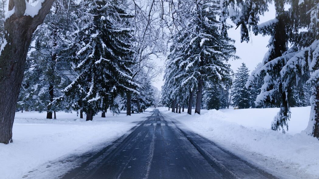 冬季 道路 雪 树木 冬季景观 4k壁纸 3840x2160