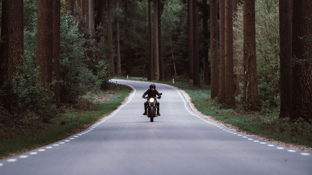 摩托车手 摩托车 道路 森林 运动 转向 4k壁纸 3840x2160