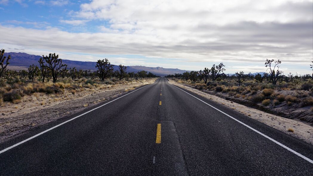 道路 沥青 沙漠 标记 地平线 4k壁纸 3840x2160