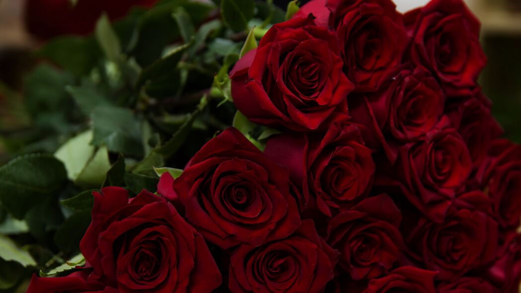 玫瑰 红色 花束 花朵 4k壁纸 3840x2160