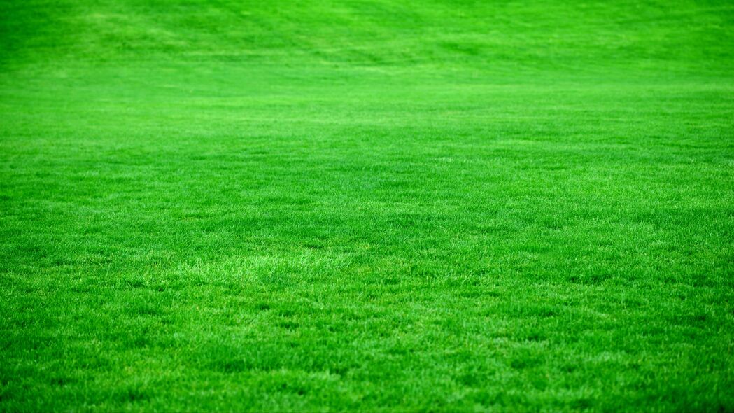 草 草坪 绿色 明亮的 4k壁纸 3840x2160