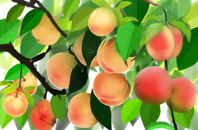 手绘新鲜夏天水果食物绿色叶子红色桃子