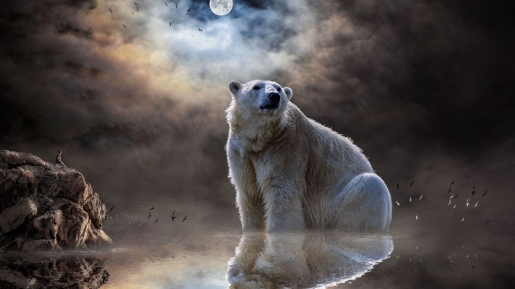 北极熊 海洋 反射 哺乳动物 4k壁纸 3840x2160
