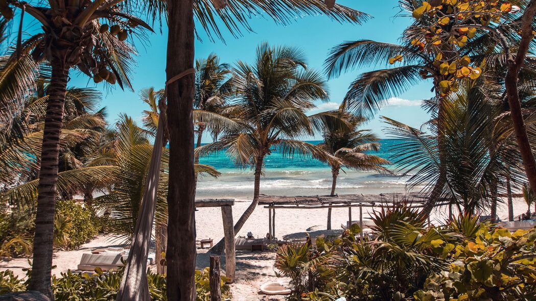 海滩 棕榈树 夏季 热带 休息 4k壁纸 3840x2160