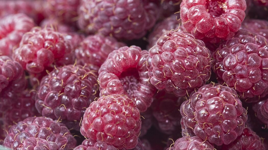 树莓 浆果 红色 成熟 多汁的 4k壁纸 3840x2160