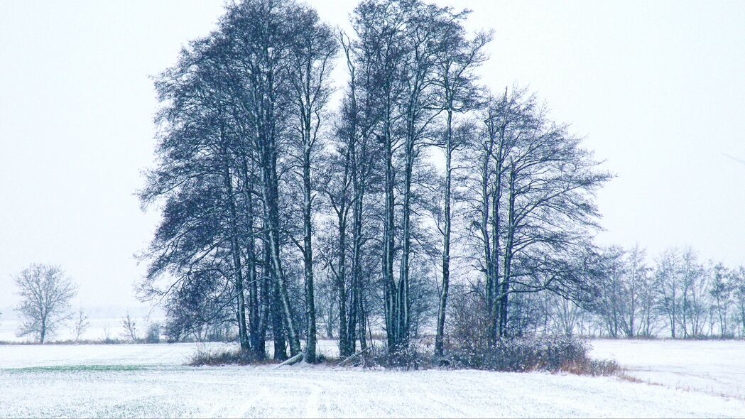 棵树 冬天 雪地 4k壁纸 3840x2160