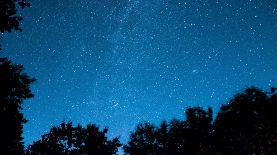 星空 树木 星星 夜晚 辐射 4k壁纸 3840x2160