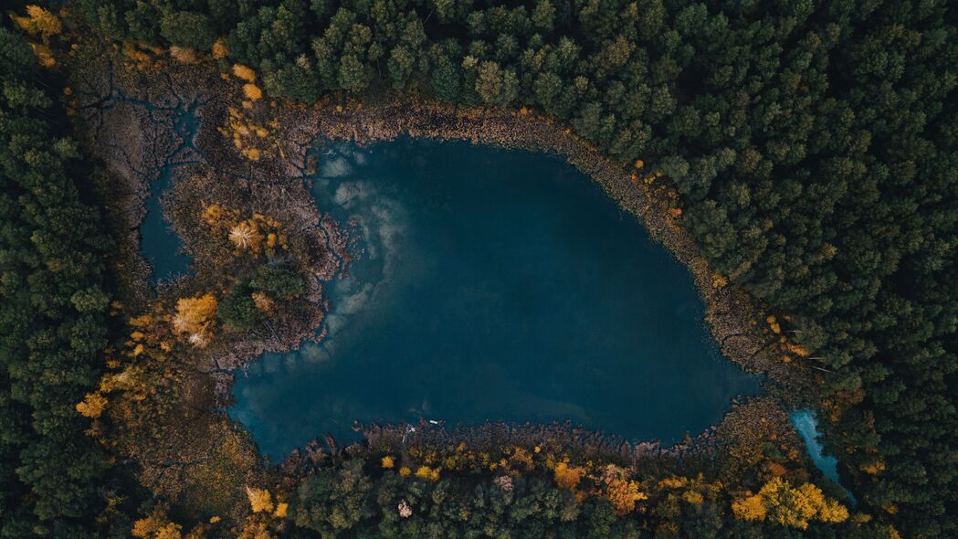 湖景树木俯瞰，绝美4K壁纸，高清3840x2160风景图片下载