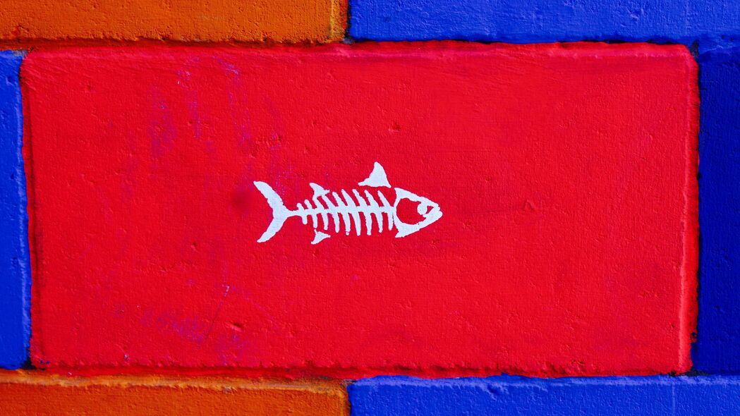 鱼 艺术 墙壁 油漆 4k壁纸 3840x2160
