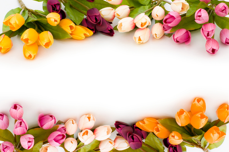 彩色郁金香花卉背景图片
