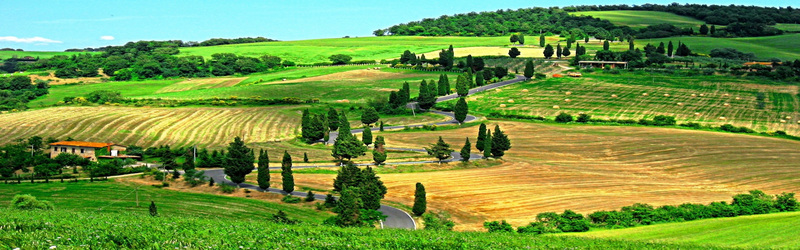 乡村田野背景