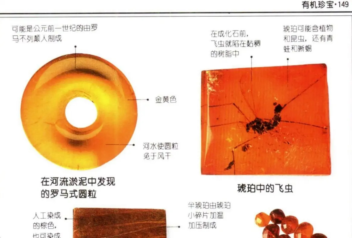 全网珍藏图鉴大全PDF，一网打尽系列精华！