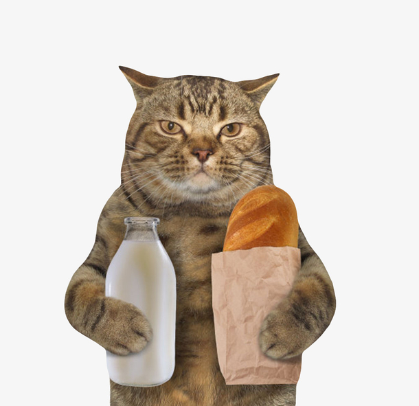 宠物小猫拿着一瓶牛奶和一袋面包