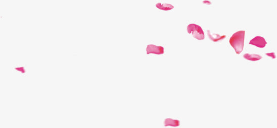 粉色花瓣的漂浮效果