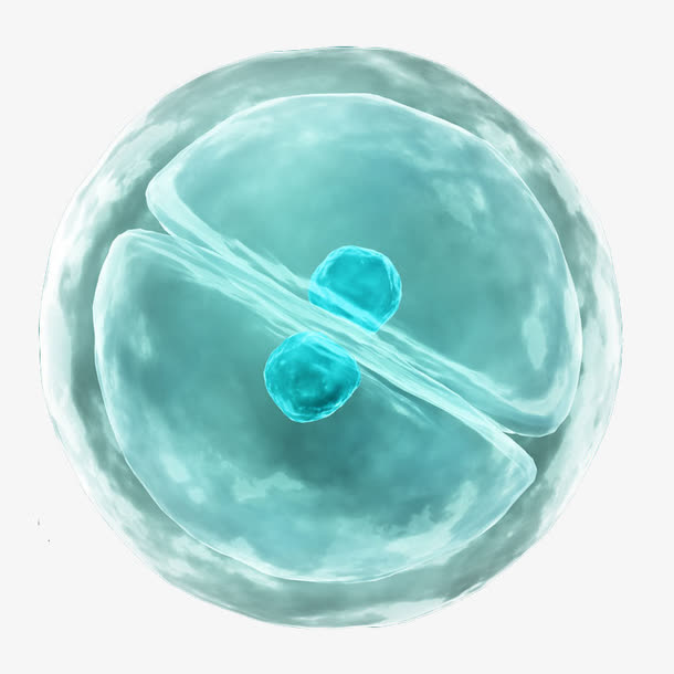 蓝色细胞分子