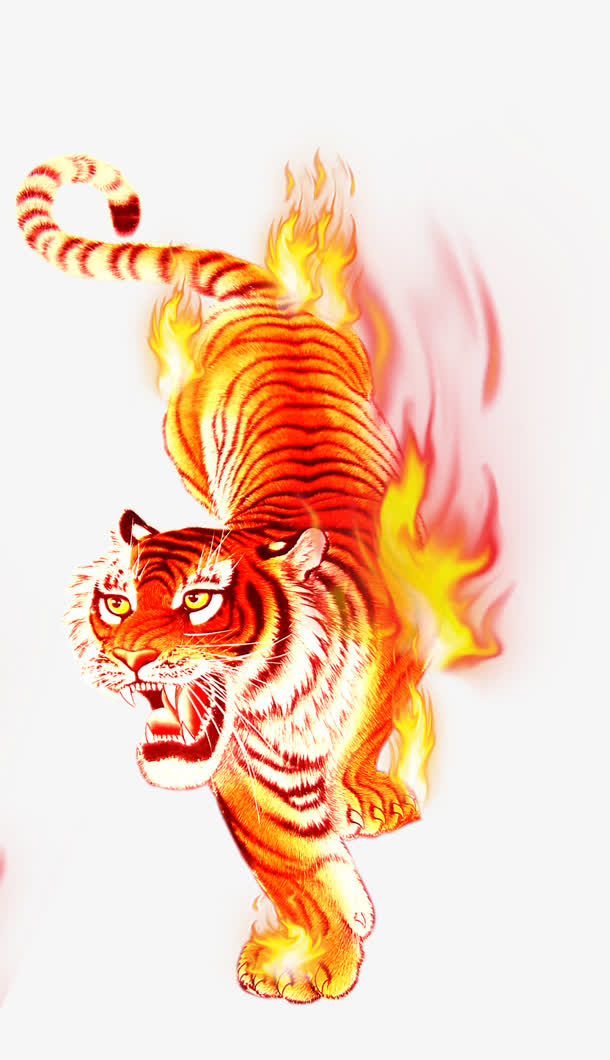 燃烧的老虎