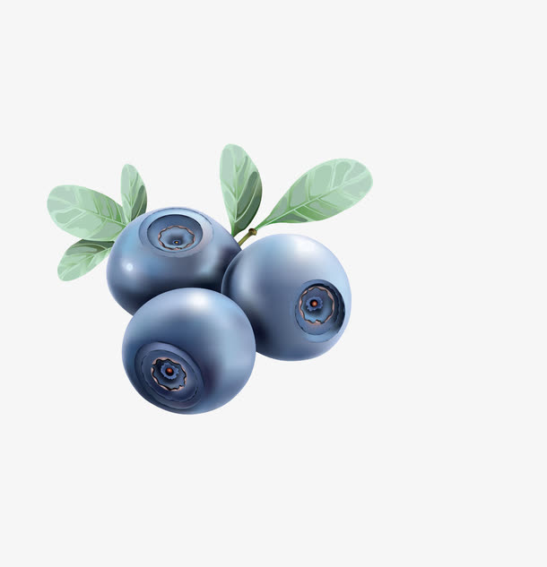 手绘平面设计熊果苷蓝莓素材