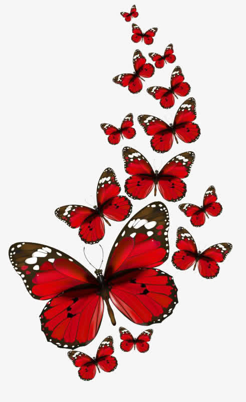 创意合成飞舞的花蝴蝶立绘