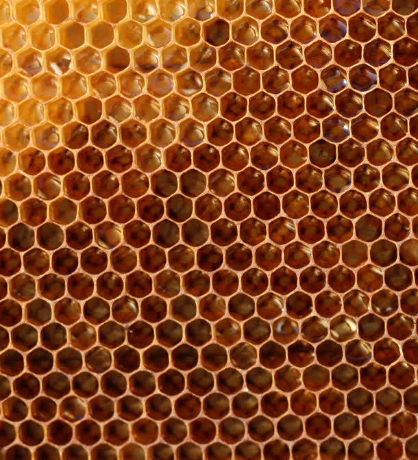 蜂巢纹理背景