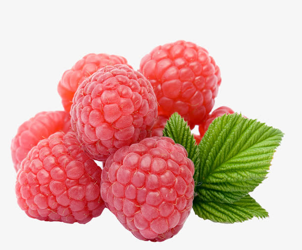 蔓越莓水果免抠高清PNG