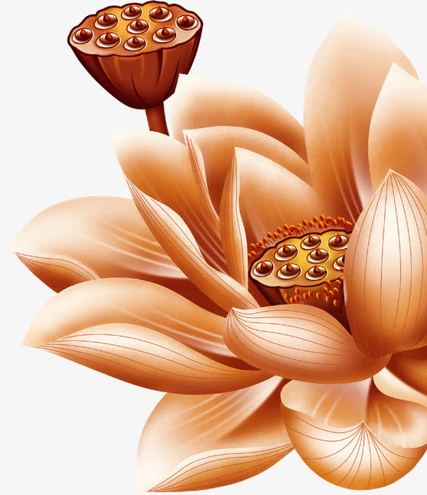 褐色手绘莲花中装饰