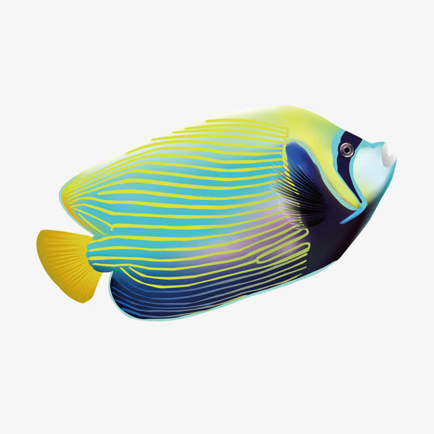 蓝绿热带鱼PNG透明图，高清动植物元素，动物设计素材免费下载