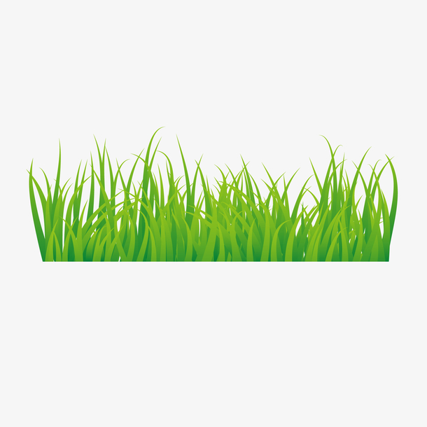 春季清新绿草地PNG免扣素材，高清透明设计元素下载
