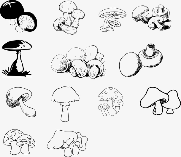 黑白矢量手绘蘑菇