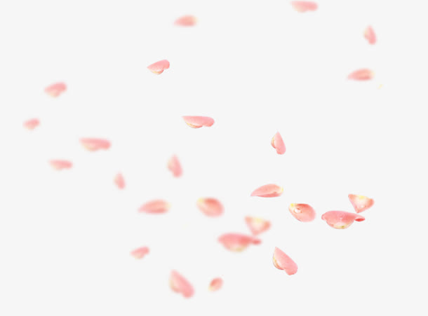 漫天飘零的粉花瓣