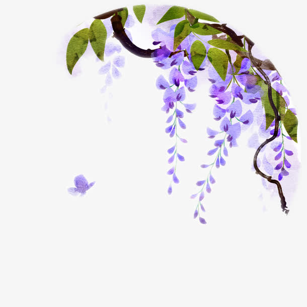 紫藤花的蝴蝶图片素材