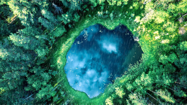 奇幻森林雨景