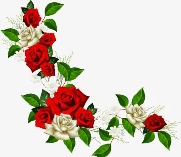 红白玫瑰边框PNG透明图片，高清植物装饰元素设计素材免费下载